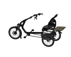 3Rad_Easy-Rider_Antrieb_Van-Raam 8-Gang Leerlauf – Bild 1