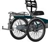 EasyRider2, Rollatorhalter Vorbereitung schwarz