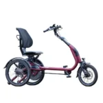 (Elektro)dreirad Easy Rider Compact