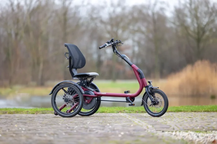 (Elektro)dreirad Easy Rider Compact – Bild 2