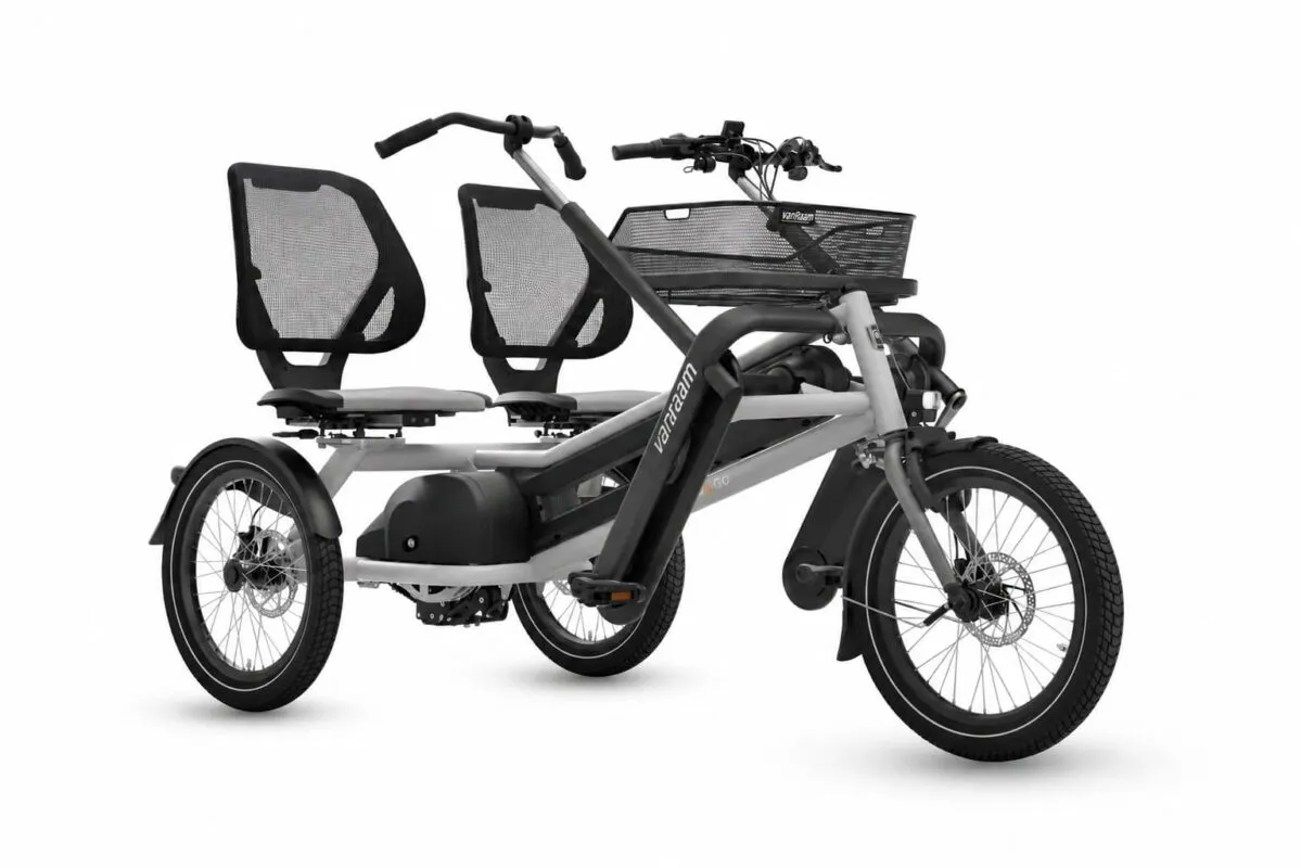 VanRaam Fun2Go Paralleltandem Achatgrau
