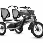 VanRaam Fun2Go Paralleltandem Achatgrau