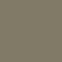 7002 Olivgrau matt (RAL 7002) – Bild 1