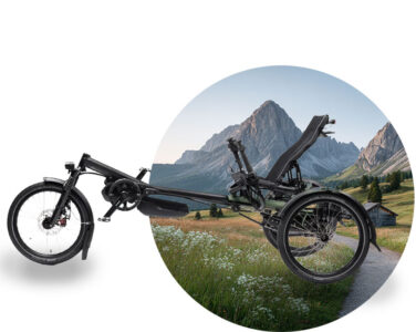 Hase Bikes Kettwiesel