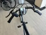 Easy Rider 2 vanRaam gebraucht