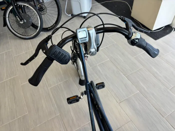Easy Rider 2 vanRaam gebraucht