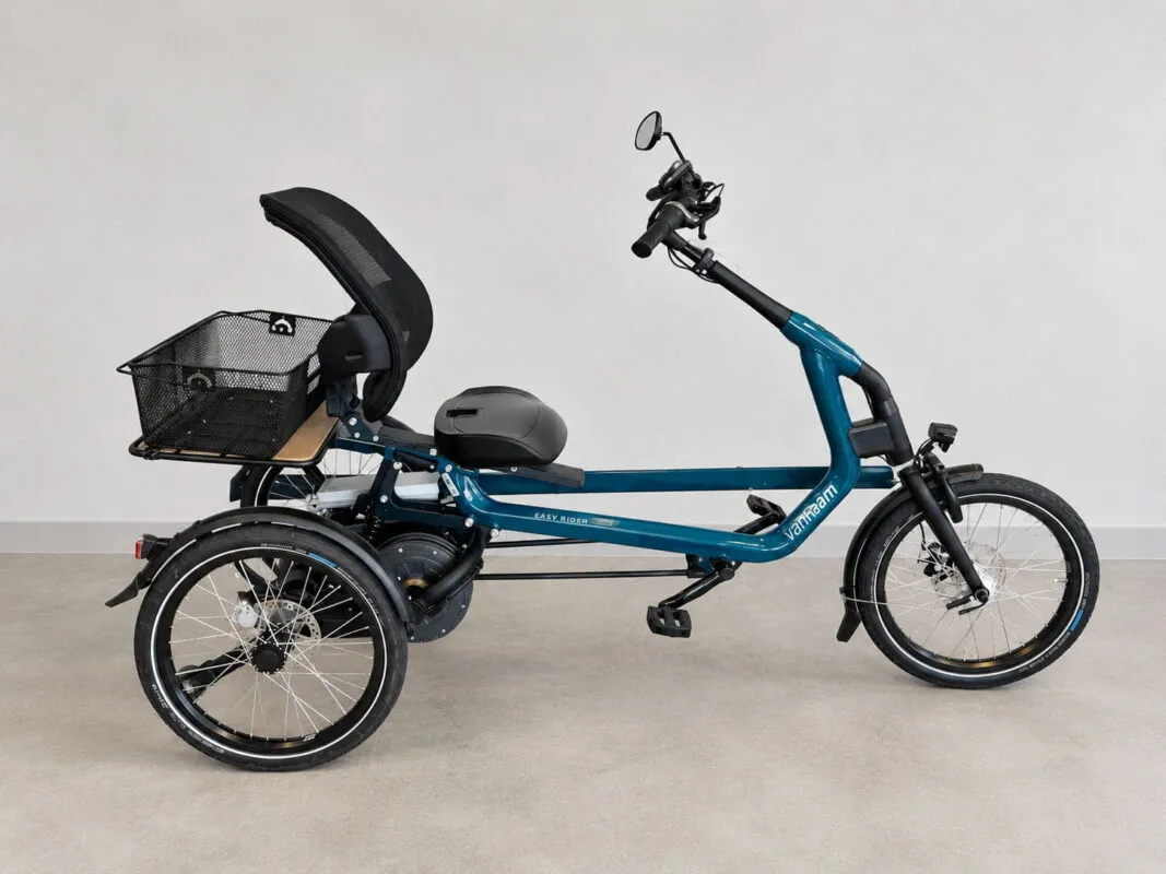Van Raam Easy Rider 3 Elektro-Dreirad | neuwertig | 1 Jahr Garantie